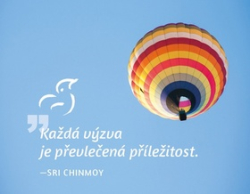 Chinmoy, Sri - Magnet na lednici Každá výzva