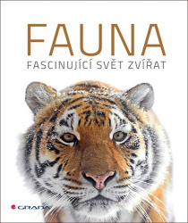 Fauna