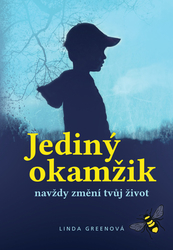 Greenová, Linda - Jediný okamžik