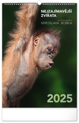 Nejzajímavější zvířara 2025 - nástěnný kalendář