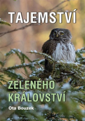 Bouzek, Ota - Tajemství zeleného království