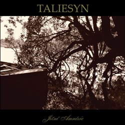 Taliesyn - Jižní Amnésie