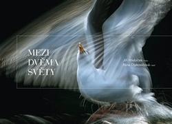 Hřebíček, Jiří - Mezi dvěma světy