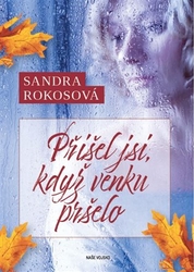 Rokosová, Sandra - Přišel jsi, když venku pršelo