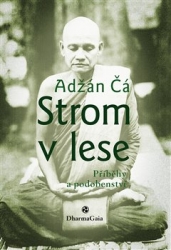 Čá, Adžán - Strom v lese