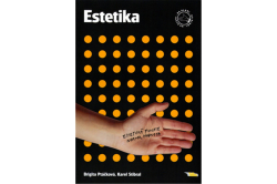 Brigita Ptáčková - Estetika